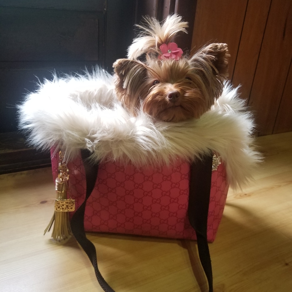 Gucci Hot Pink Dog Tote